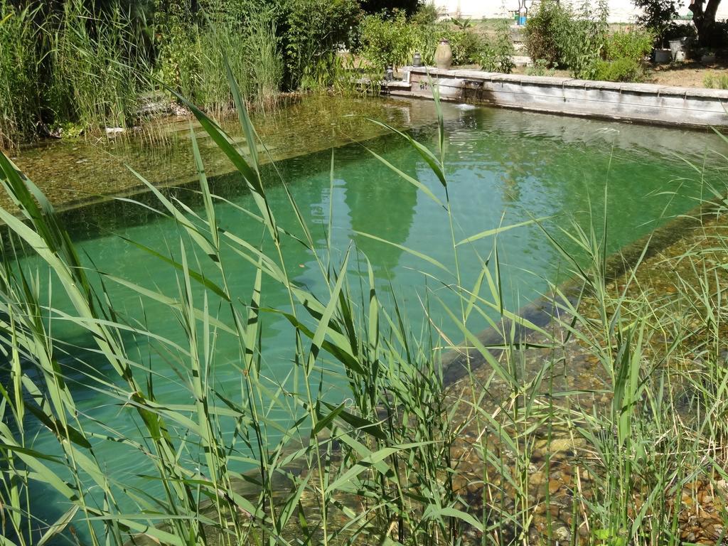 Jardin De Canaan Saint-Julien-de-Chedon Экстерьер фото